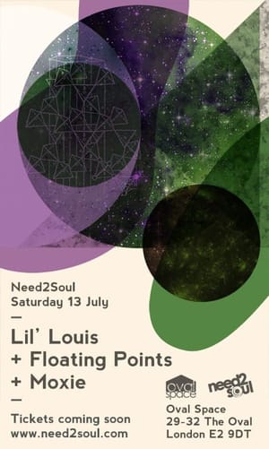 lillouisflyer-5.22.2013