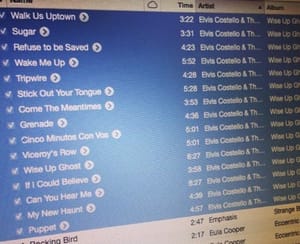 TheRootstracklist020713