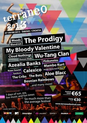 Terraneoflyer020813