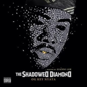 key_nyata_shadowed_diamond_cover