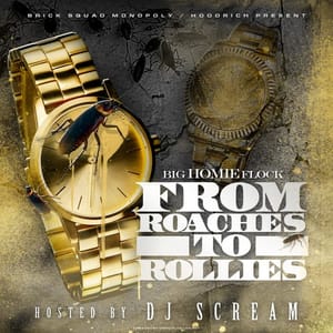 Waka_Flocka_From_Roaches_To_Rolex-front-large