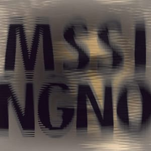 MssingNo