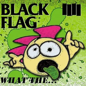 blackflag-12.6.2013