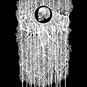 bonesquad-12.6.2013