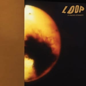 9Loop