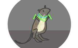 best track titles waremouse