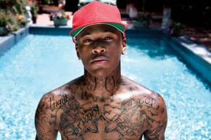 YG24061411