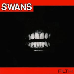 6Swans