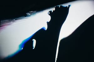 arca-14