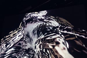 arca-55