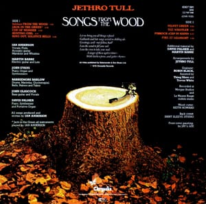 Wooden turntable manufacturer's Kickstarter campaign hit by copyright claim