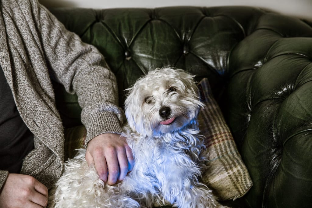 huxley_and_bert_1(2)