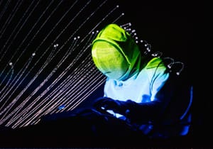 Untitled5