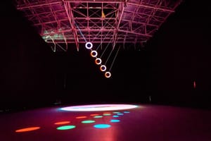 planta_sonar2015_ArielMartini (3)