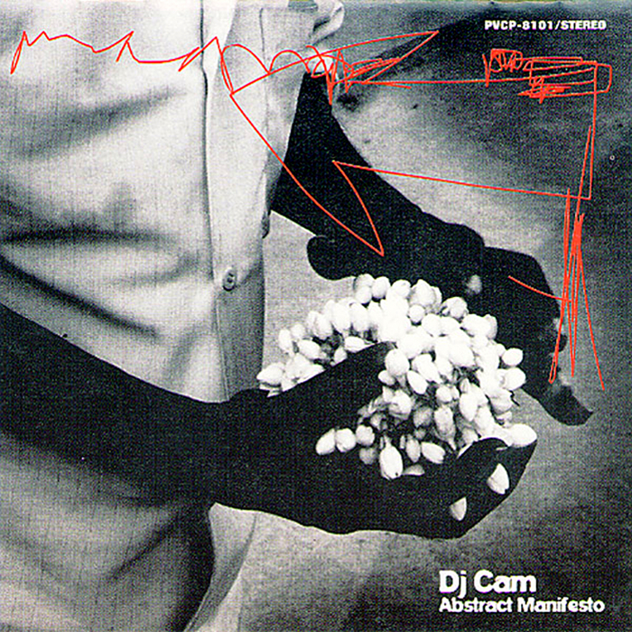 djcam