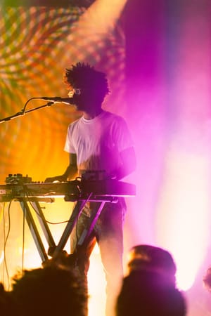 IlitchPeters_ToroYMoi_2015_NYC8