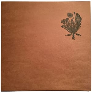 Welsh house producer Leif returns with second album, Taraxacum