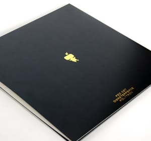 fez-vinyl-back