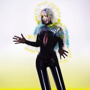 bjork-12.2.2015