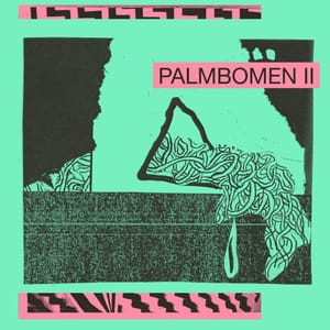 palmbomen-12.2.2015