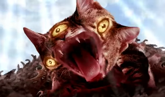 Run the Jewels release Lil’ Bub-featuring video for ‘Meowpurrdy’