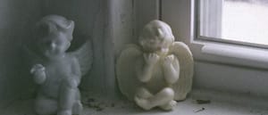GhostOrchard