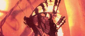 Post-rock - Rodan