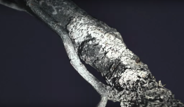 James Blake shares minimalist video for Bon Iver collab ‘I Need a Forest Fire’