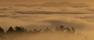 a3603893813_10