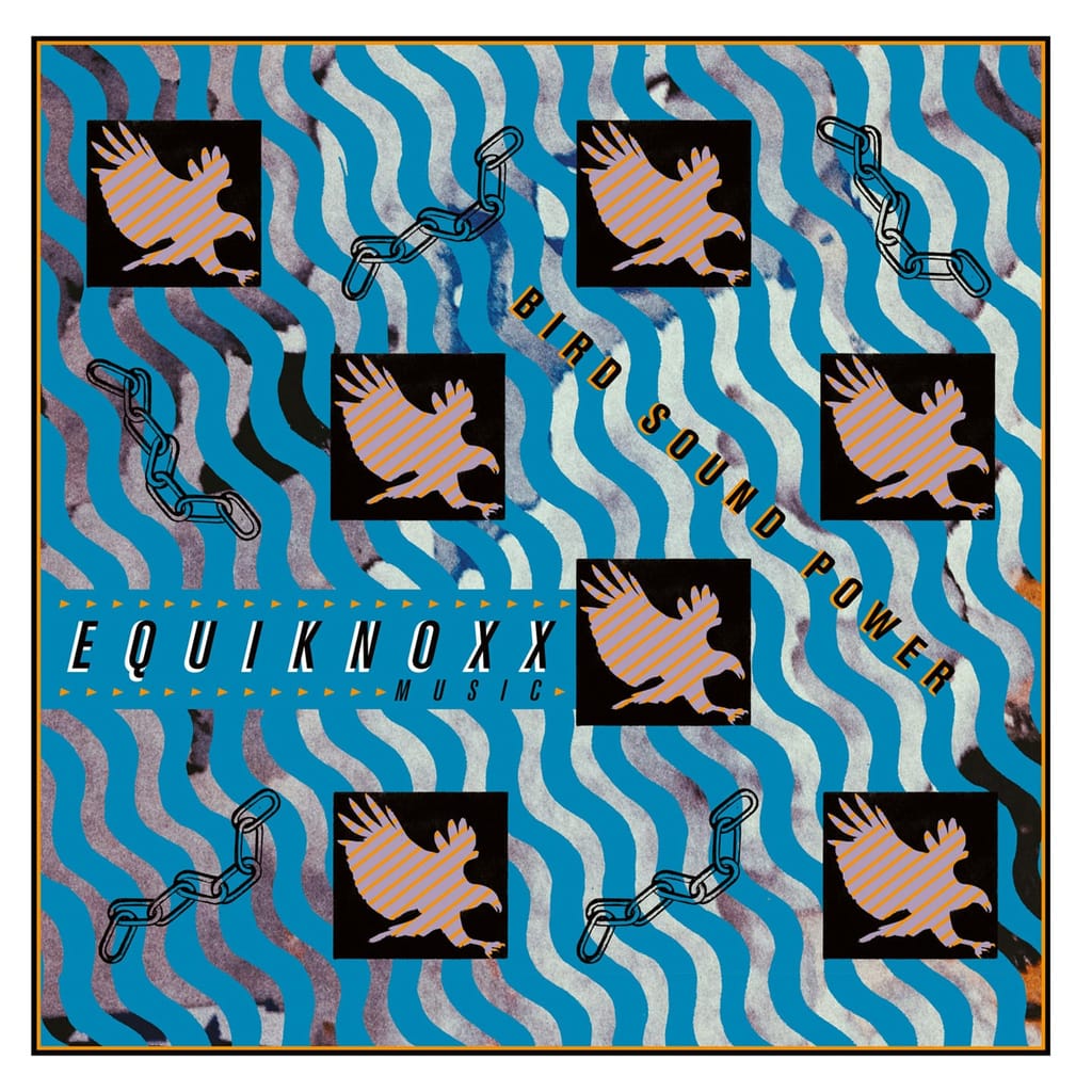 equiknoxx_bird_dds