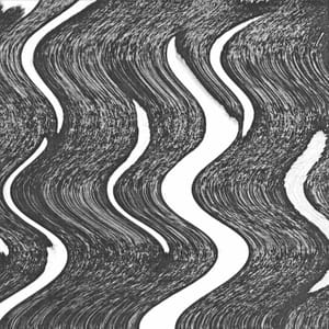 Noise duo Growing return with first album in seven years, <i>Disorder</i>