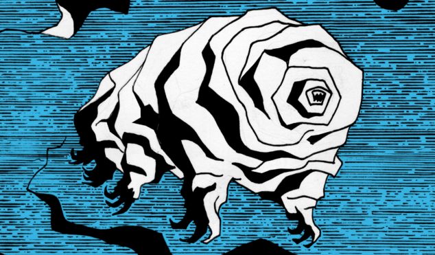 FACT mix 612: ZULI