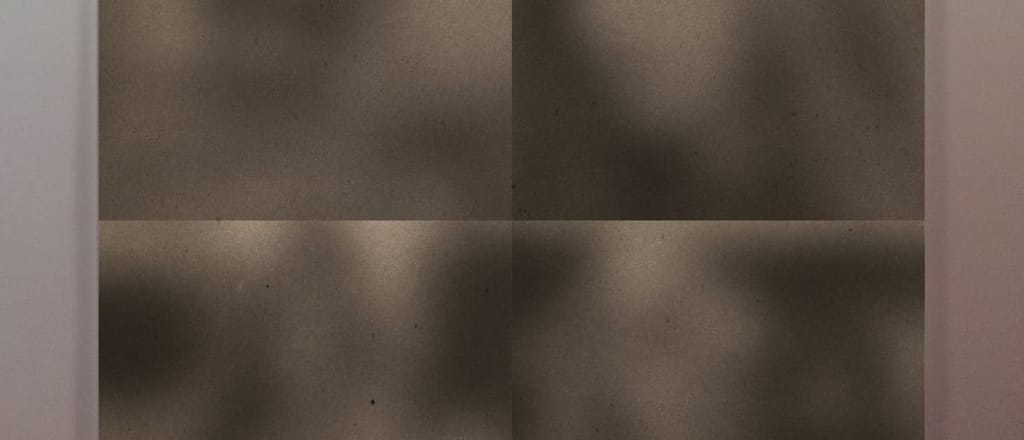 Best albums - Palmbomen
