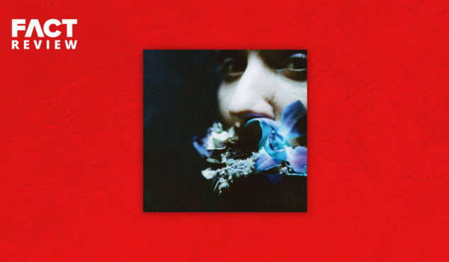 Circuit Des Yeux’s new album Reaching For Indigo is discreetly personal and universally relatable