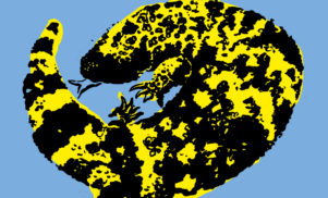 FACT mix 643: GILA
