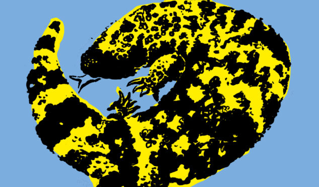 FACT mix 643: GILA