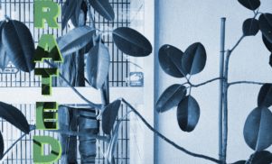 Japanese dub artist 7FO will turn your chillout room into a nature terrarium