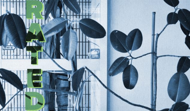 Japanese dub artist 7FO will turn your chillout room into a nature terrarium