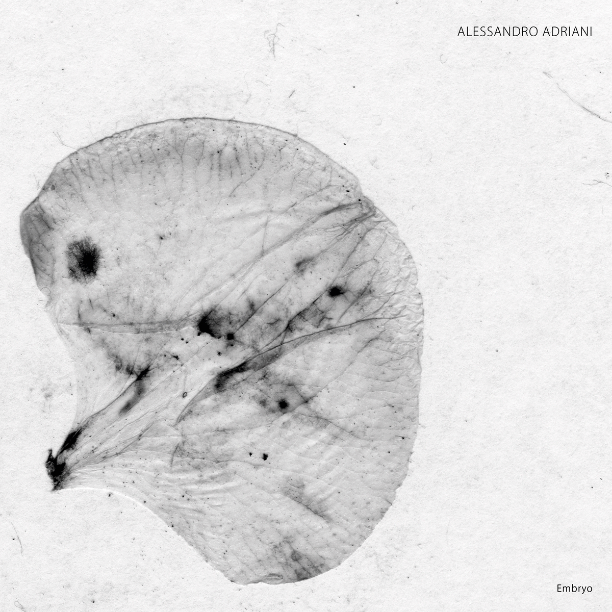Alessandro Adriani