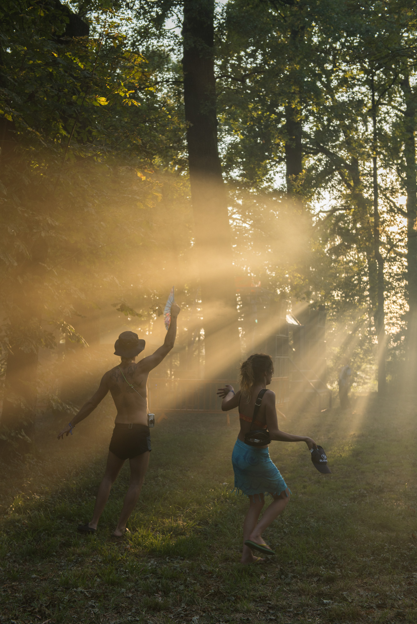 Terraforma 2019 review