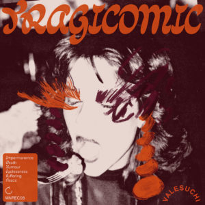 Valesuchi album cover
