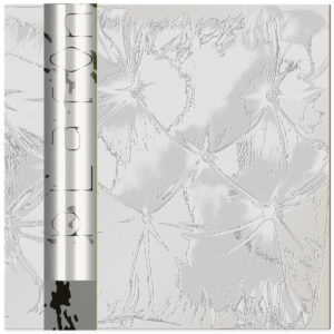 Plafond 5 album art