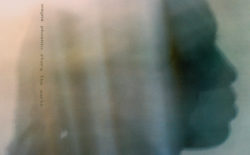 Halcyon Veil presents debut record from enigmatic artist Wayne Phoenix