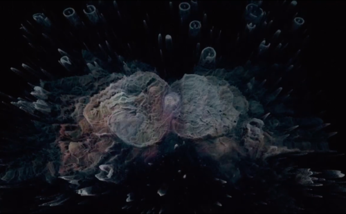 Watch CAO’s “neo-natural” ‘Su Venida A Ser’ video from her Club Chai EP Flesh Luminescence