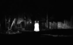 Isolating finds himself on a haunted night-drive in ‘But Please’