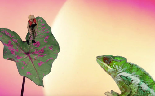 Cecilia Bengolea & Jeremy Deller Present: Bom Bom’s Dream