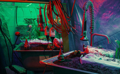 Jesse Osborne-Lanthier soundtracks a decaying still-life in ‘Catchment Areas (Spiritual Pollution)’