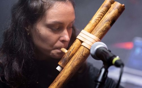 Lunchmeat Festival 2020: Nina Pixel & Adrián Kriška present Ancestral Archeology