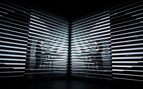 Primary Optics: NONOTAK