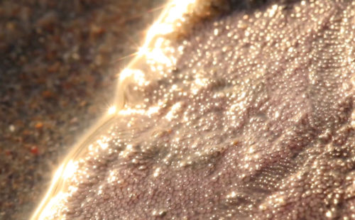 Arca collaborates with Oliver Coates on the haunting ‘Madre’